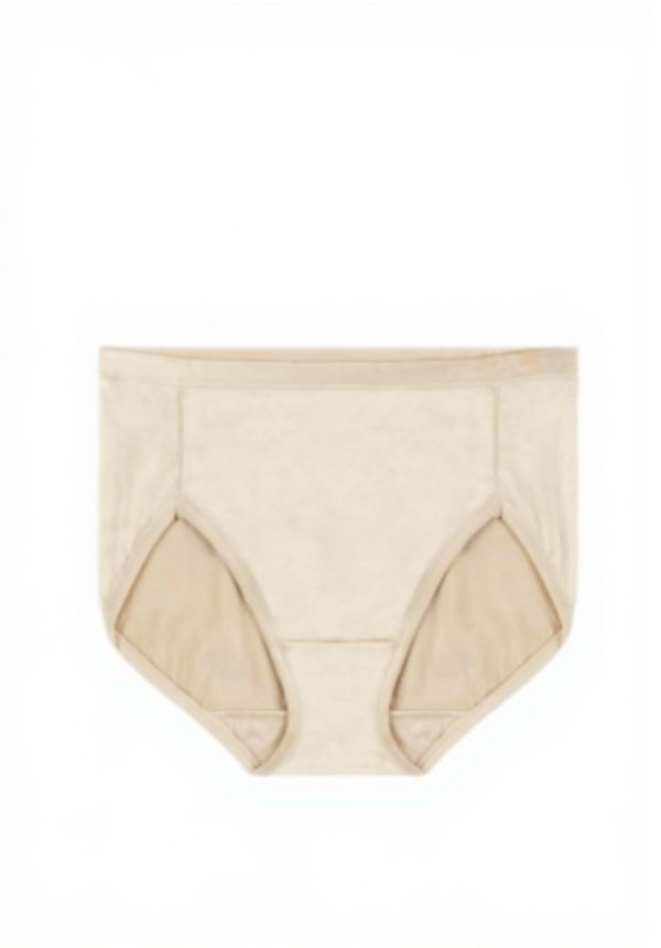 Culotte Vanity Fair Body Caress Brief Lissage intégral Coton