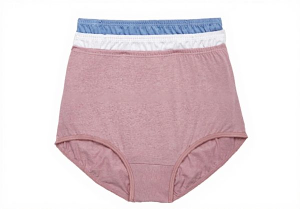 Culottes Vanity Fair Nylon Coton Confort Lot de 3 Femme